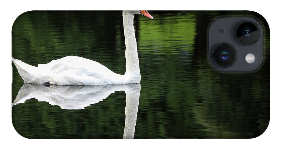 Petoskey iPhone Case featuring the photograph Swan at Spring Lake by Robert Carter