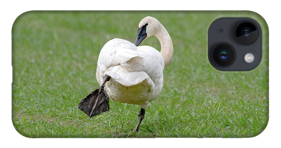 Swan iPhone 14 Case featuring the photograph Swan Yoga by Jerry Cahill