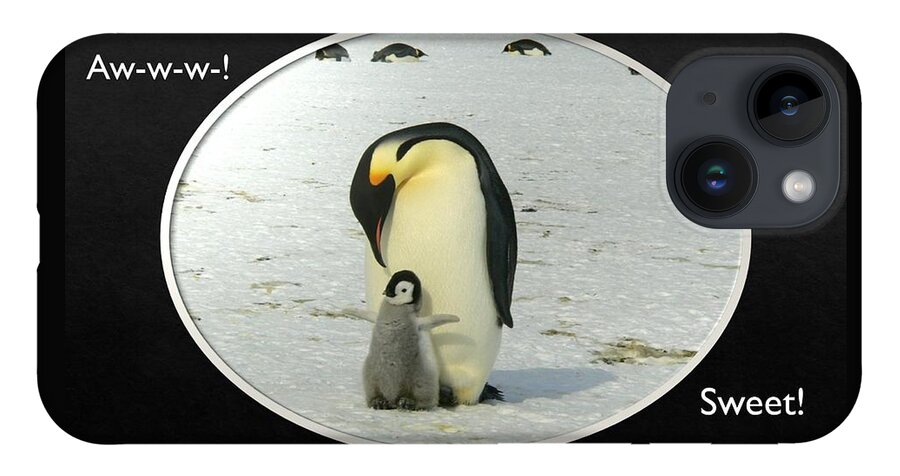 Penguins iPhone 14 Case featuring the photograph Sweet Penguins by Nancy Ayanna Wyatt