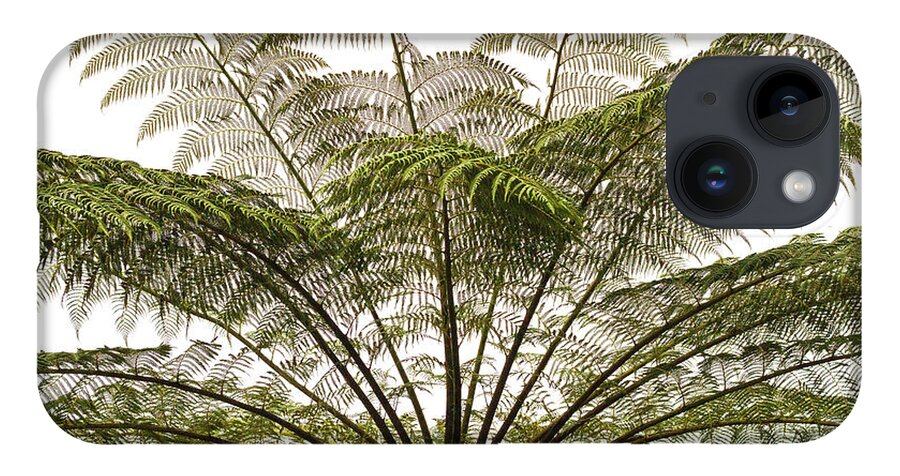 Tasmania iPhone 14 Case featuring the photograph Tasmanian Tree Fern Canopy by Elaine Teague