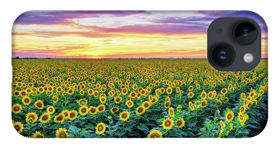 Sunflowers iPhone 14 Case featuring the photograph Texas Sunflower Field at Sunset Pano by Robert Bellomy