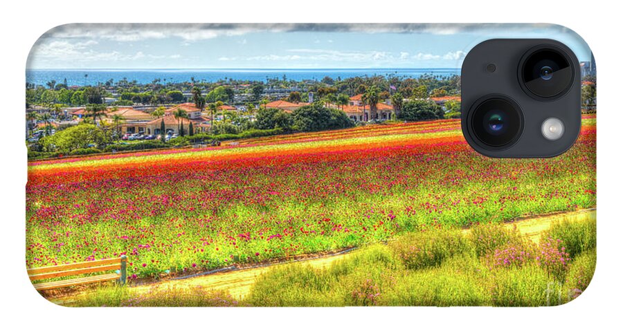 California iPhone Case featuring the photograph The Carlsbad Flower Fields by David Levin