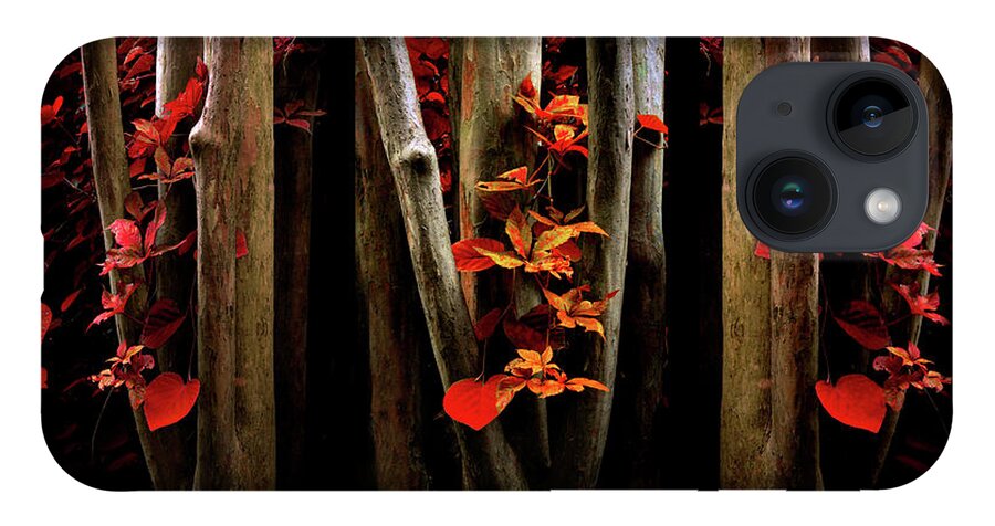 Autumn iPhone 14 Case featuring the photograph The Crimson Forest by Jessica Jenney