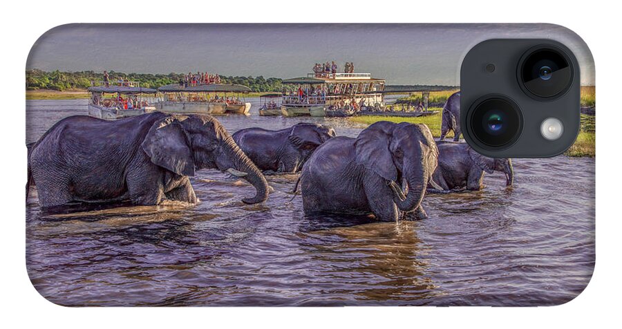 Chobe National Park iPhone 14 Case featuring the photograph The Crossing by Marcy Wielfaert