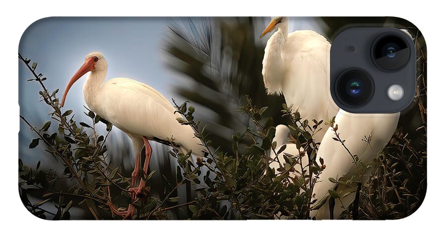 Birds iPhone Case featuring the photograph The Gathering by Larry Marshall