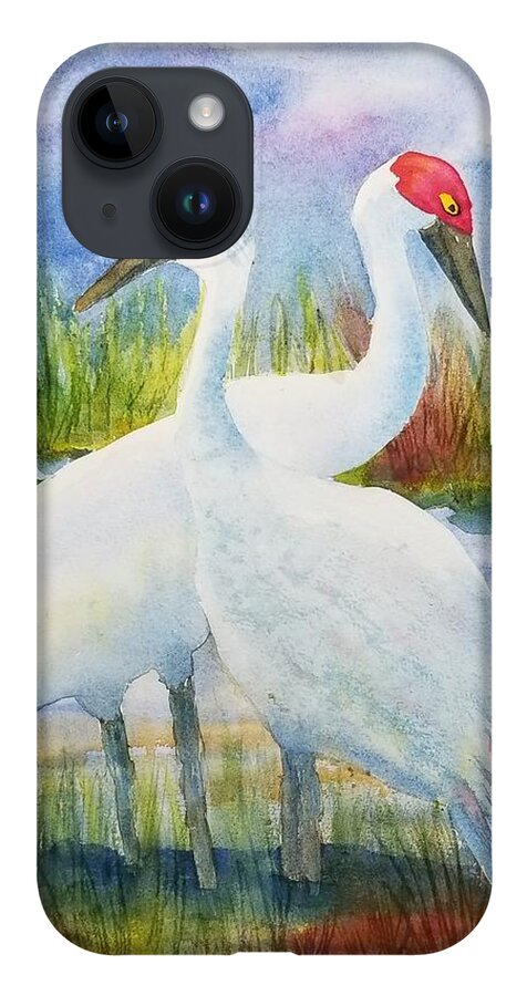 Sandhill Cranes iPhone Case featuring the painting The Locals by Ann Frederick