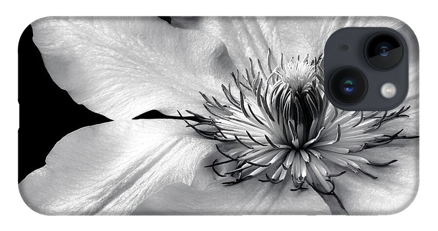 Nature iPhone 14 Case featuring the photograph The Magic Within BW by Darlene Kwiatkowski