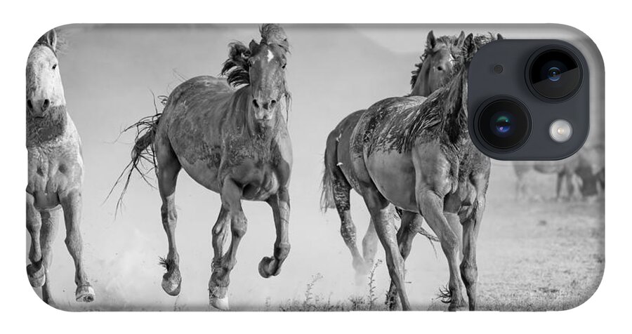 Stallion iPhone 14 Case featuring the photograph The Muddy Marauders. by Paul Martin