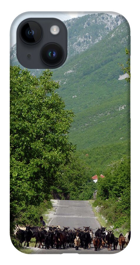 Goats iPhone Case featuring the photograph The Road to Theth - Albania by Phil Banks