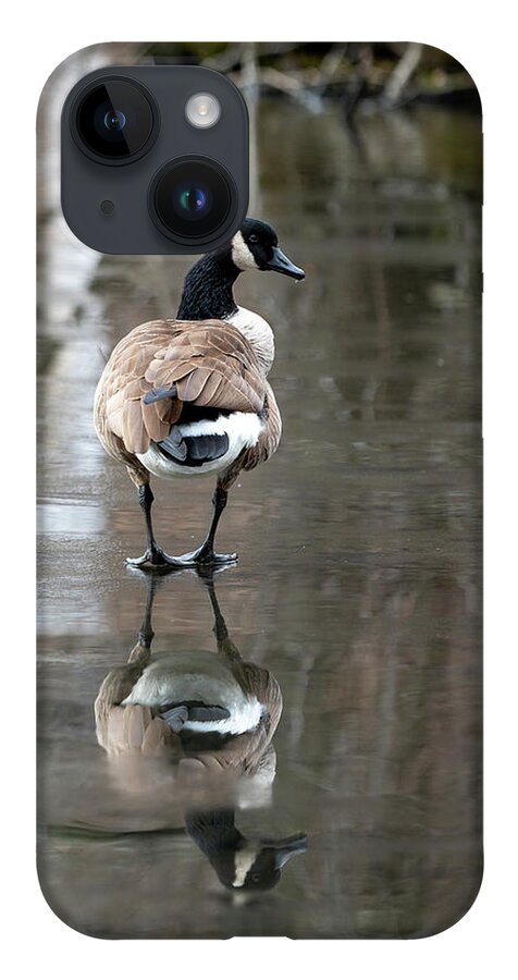 Canadian Goose iPhone 14 Case featuring the photograph Thin Ice by Kevin Suttlehan
