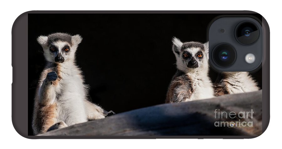 David Levin Photography iPhone 14 Case featuring the photograph This Spot's for You by David Levin