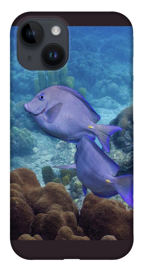 Animals iPhone 14 Case featuring the photograph This Way by Lynne Browne
