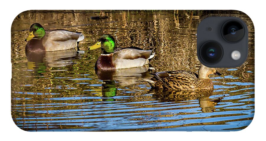 Birds iPhone Case featuring the photograph Three Mallard ducks chilling out by Louis Dallara