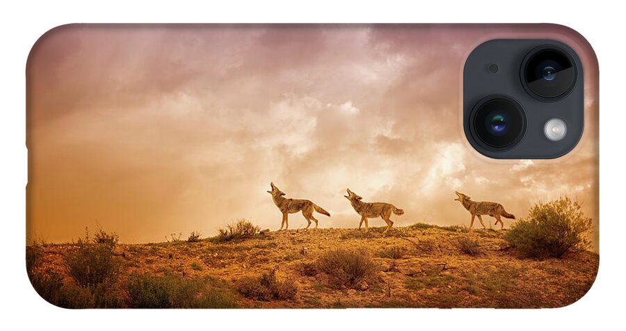 Coyote iPhone 14 Case featuring the digital art Three Part Harmony by Nicole Wilde