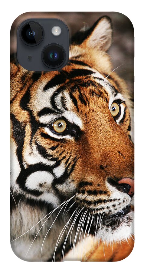 Tiger iPhone 14 Case featuring the photograph Tiger Headshot by Brad Barton