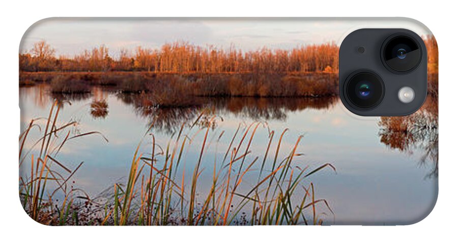 Preserve iPhone 14 Case featuring the photograph Tillman Preserve by Don Nieman