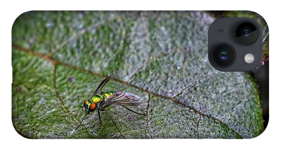 Insects iPhone 14 Case featuring the photograph Tiny World 5 by DB Hayes