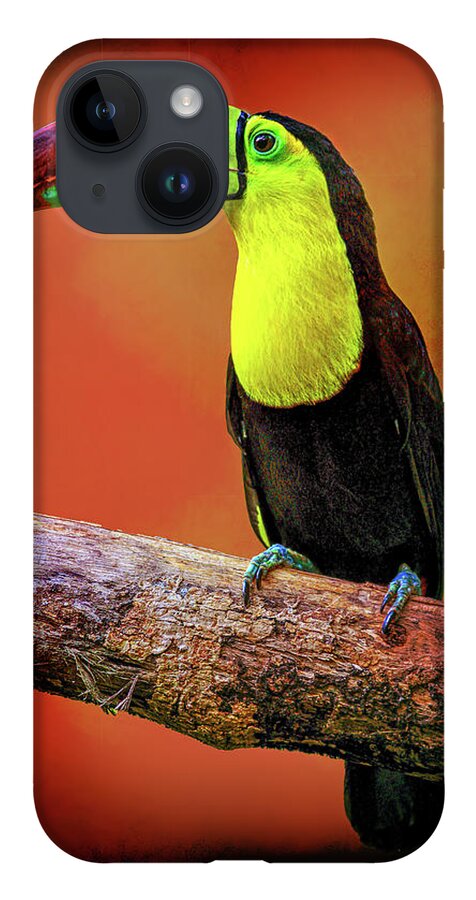Toucan iPhone 14 Case featuring the photograph Toucan by Bill Barber