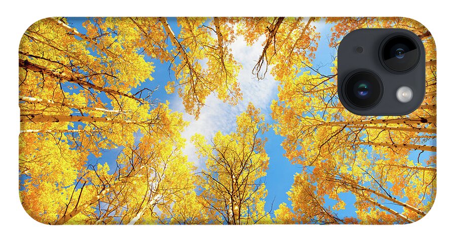 Aspens iPhone 14 Case featuring the photograph Towering Aspens by Darren White