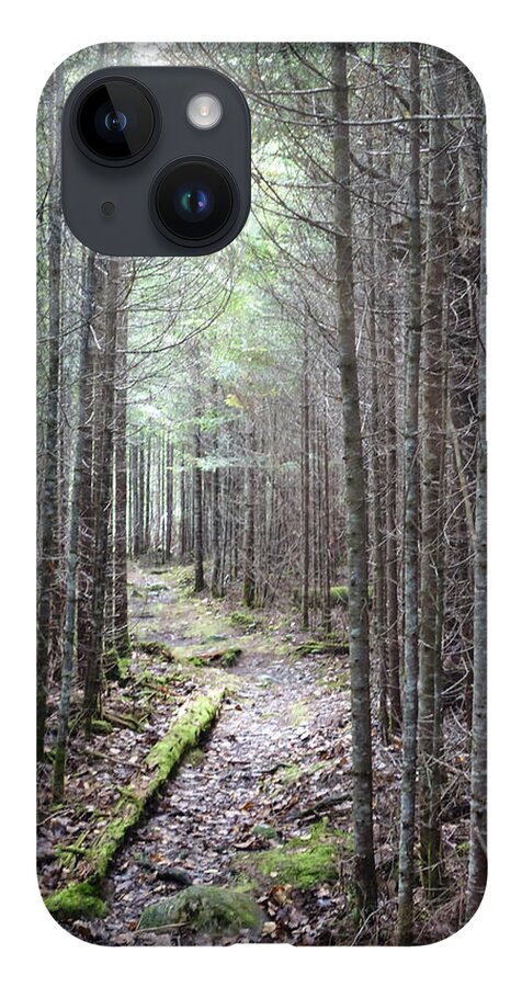 Maine iPhone 14 Case featuring the photograph Trail in Northern Maine Woods by Russ Considine
