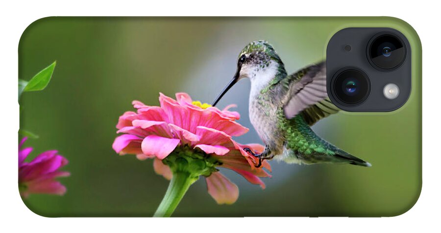 Hummingbird iPhone 14 Case featuring the photograph Tranquil Joy by Christina Rollo