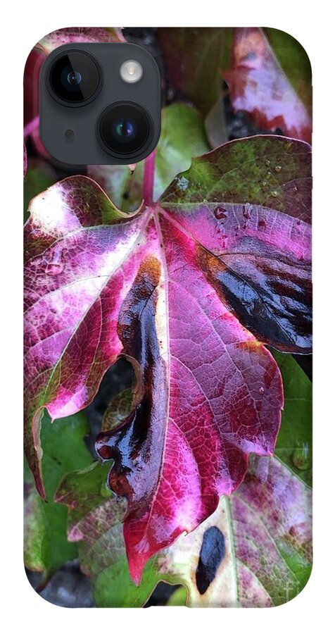 Leaf iPhone 14 Case featuring the photograph Transformation by Tina Marie