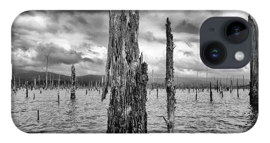 Brokopondo Lake iPhone 14 Case featuring the photograph Tree Graveyard by Phil Marty