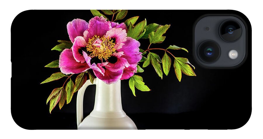Tree Peony iPhone Case featuring the photograph Tree peony in full blown Lan He Paeonia suffruticosa rockii i by Torbjorn Swenelius