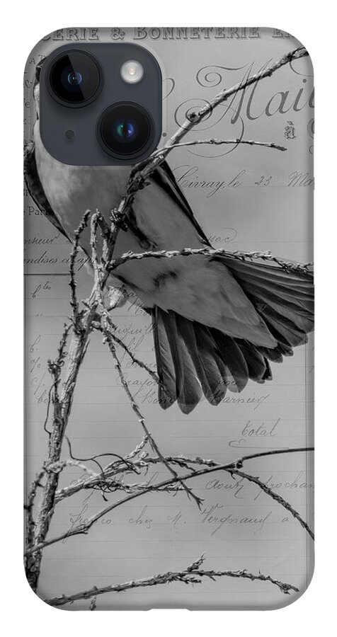 Bird iPhone 14 Case featuring the photograph Tree Swallow by Cathy Kovarik