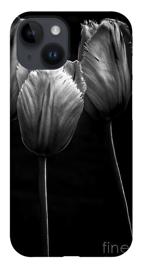 Tree Trio Tulips Strong Contrast Effective Black White Flowers Stylish Beautiful Delightful Pretty Exquisite Gorgeous Expressive Close Up Romantic Poetic Creative Minimalist Minimalism Impressions Attractive Charming Inspiration Singular Fabulous Fantastic Delicate Gentle Bold Mono Contemporary Impressive Stunning Elegant Tender Touching Passion Expressionistic Interpretative Evocative Romance Simplicity Togetherness Together Associative Spiritual Happy Aesthetic Idyllic Meaningful Sentimental iPhone 14 Case featuring the photograph TRIO TOGETHENESS-TREE Characters by Tatiana Bogracheva