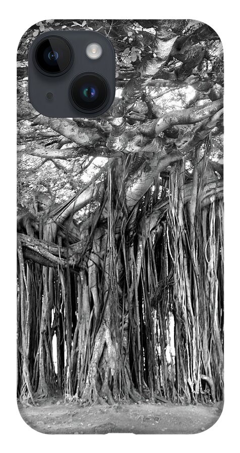 Fine Art iPhone 14 Case featuring the photograph Tree with Many Trunks by Mike McGlothlen