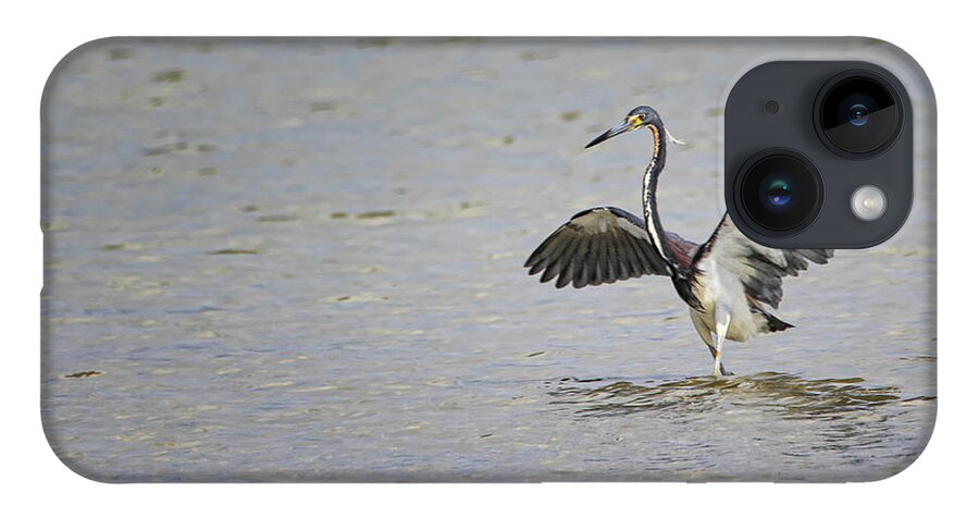 Tricolor Heron iPhone 14 Case featuring the photograph Tricolor Heron at Cedar Island North Carolina by Bob Decker