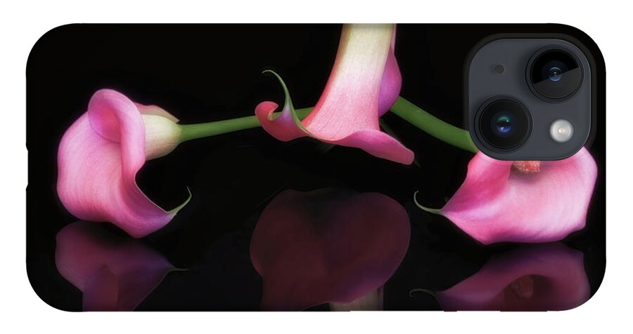 Cala iPhone 14 Case featuring the photograph Triple Cala Lillies by Susan Candelario