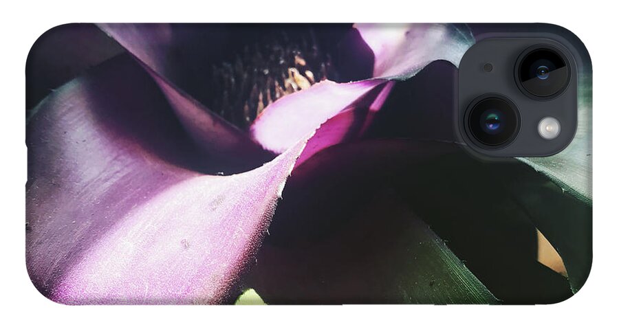  iPhone Case featuring the photograph Tropical by Michelle Hoffmann