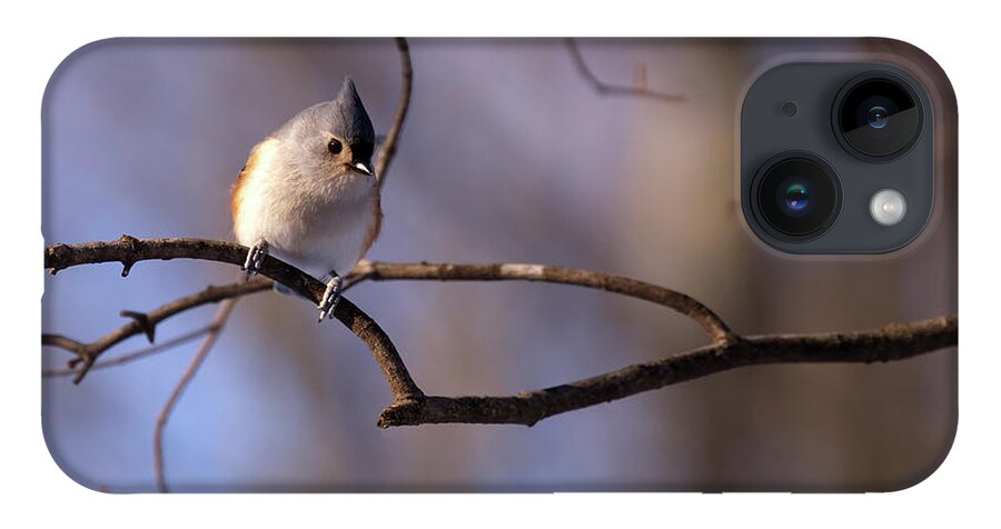 Bird iPhone 14 Case featuring the photograph Tufted Tit Mouse by Flinn Hackett