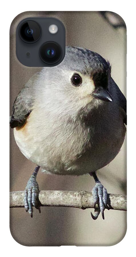 Duck Pond iPhone 14 Case featuring the photograph Tufted Titmouse by Michael Gerbino