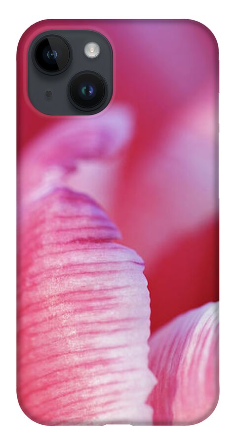 Pink iPhone 14 Case featuring the photograph Tulip Detail by Maria Meester
