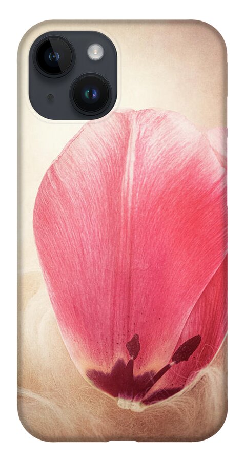 Petal iPhone 14 Case featuring the photograph Tulip Petal by Philippe Sainte-Laudy