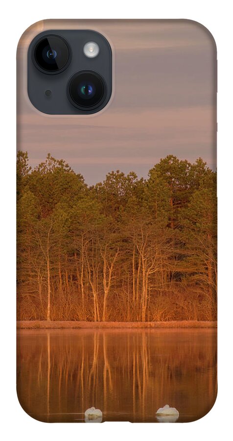 Tundra Swans iPhone 14 Case featuring the photograph Tundra Swans Under the Full Snow Moon by Beth Sawickie