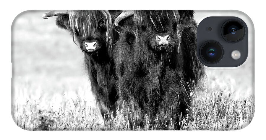 Highland Cattle iPhone 14 Case featuring the photograph Two cute highland cows in black and white by Simon Bratt