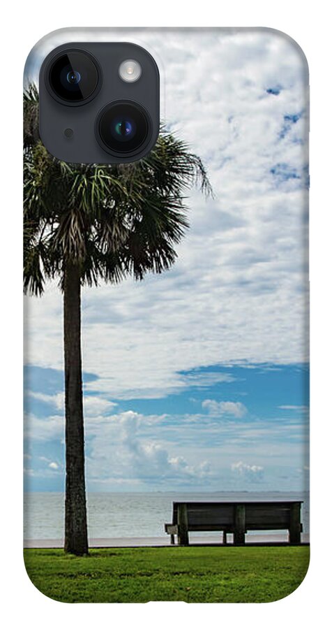 Two iPhone Case featuring the photograph Two Palms on Pensacola Bay by Beachtown Views