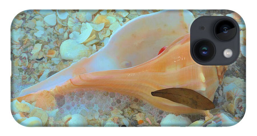 Conch Shell iPhone Case featuring the photograph Underwater by Alison Belsan Horton