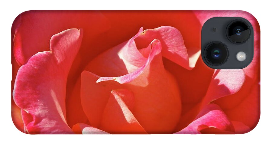 Rose iPhone 14 Case featuring the photograph Unfurling by Michele Myers