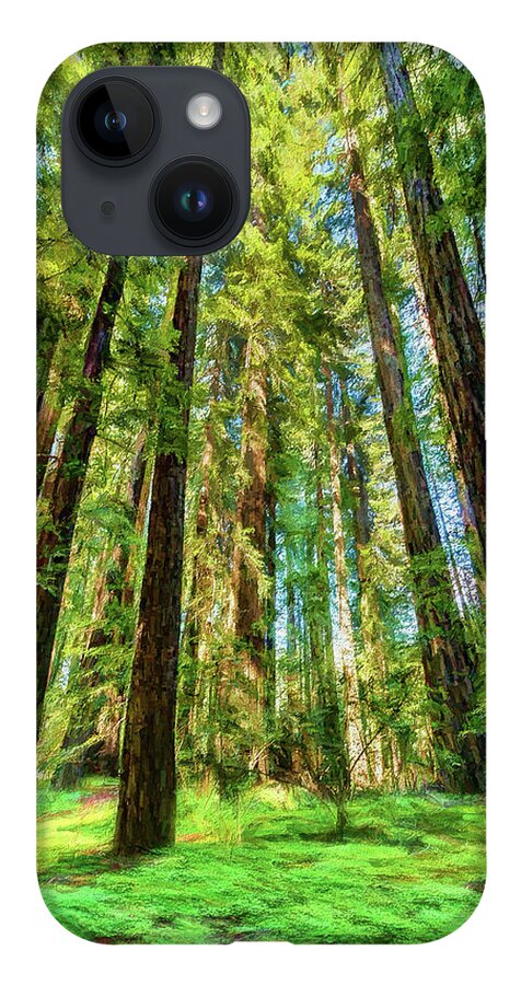California iPhone Case featuring the photograph Up Into the California Redwoods ap 120 by Dan Carmichael