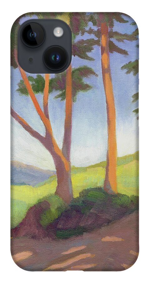 Landscape iPhone Case featuring the painting View from Legion of Honor Museum by Linda Ruiz-Lozito