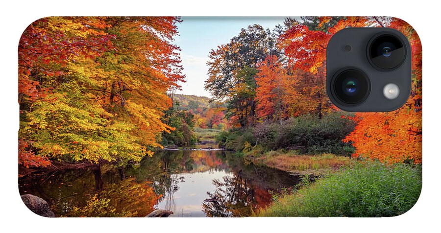 Sunny Farm iPhone Case featuring the photograph Vivid colors of autumn 4 by Lilia D