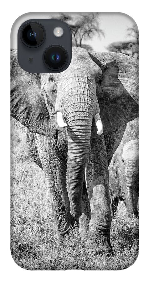 Namiri Plains iPhone 14 Case featuring the photograph Wait up, Mom by Phil Marty