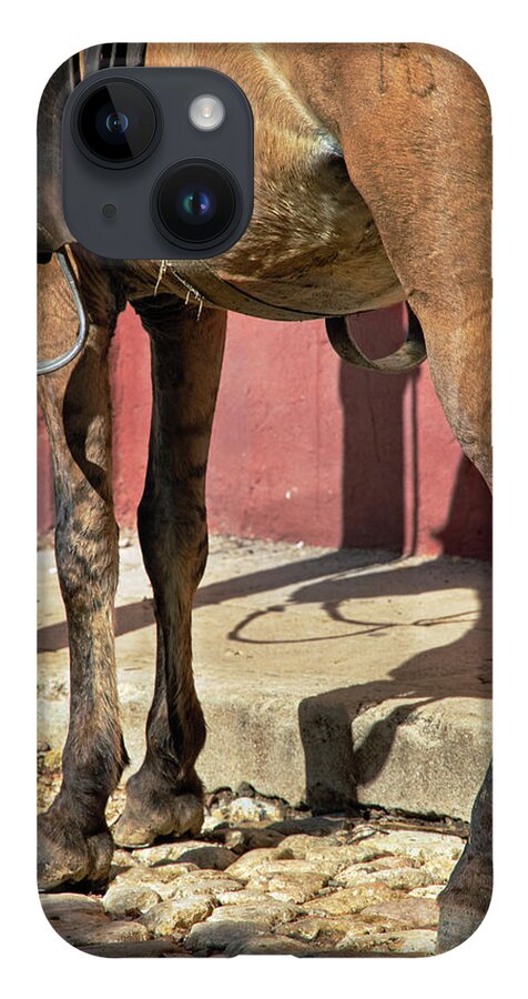 Horse iPhone Case featuring the photograph Waiting by M Kathleen Warren