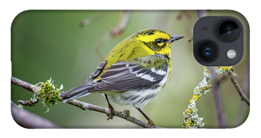 Cold iPhone 14 Case featuring the photograph Warbler by Craig Leaper
