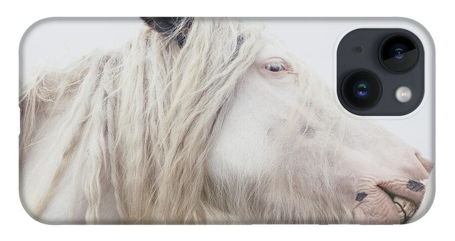 Horse iPhone Case featuring the photograph Warrior Princess - Horse Art by Lisa Saint